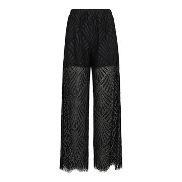 Co' Couture - Leti Lace Pant - Black