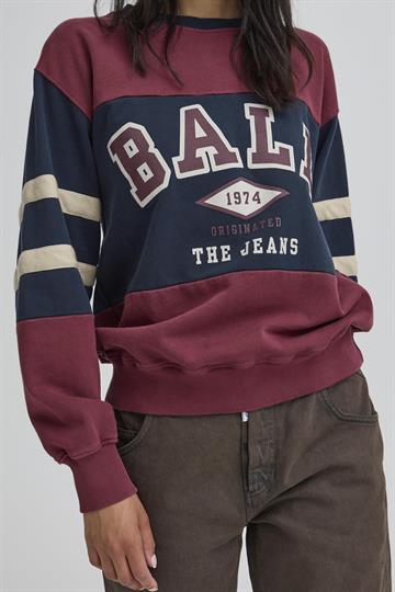 Ball - Tomasso Sweat - Chocolate Truffle