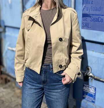 Caro Wilma Jacket - Cornstalk